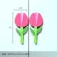 Handcrafted Acacia Wood Tulip Handle Pair
